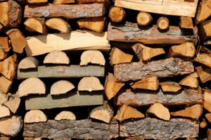 cordwood in a pile