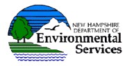 NH DES logo